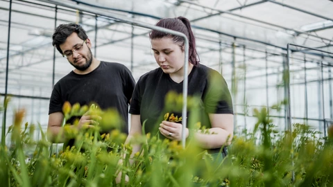 Ausbilder und Auszubildende im Gartenbau