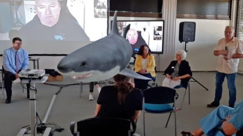 Eine Gruppe von Menschen sitzt in einem Seminarraum, während auf einem Bildschirm im Hintergrund eine Videokonferenz läuft. Im Vordergrund ist ein großer Hai als digitale 3D-Projektion zu sehen, der mitten durch den Raum zu schwimmen scheint. Die Szene zeigt den Einsatz moderner Augmented-Reality-Technologie, die das Treffen interaktiv und visuell eindrucksvoll gestaltet