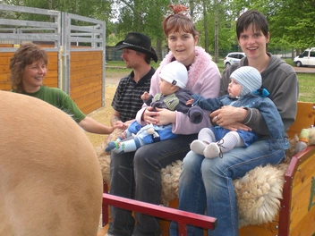 Zwei Mütter sitzen mit ihren Babys auf einer Kutsche