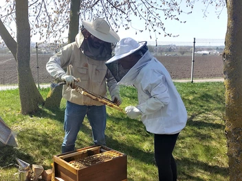 Zwei Personen im Imkeranzug am Bienenstock