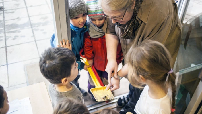 Kinder betrachten Insekten auf einer Schaufel