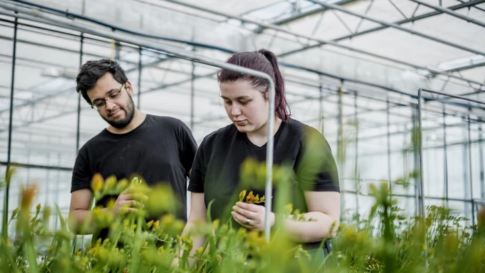Ausbilder und Auszubildende im Gartenbau des CJD
