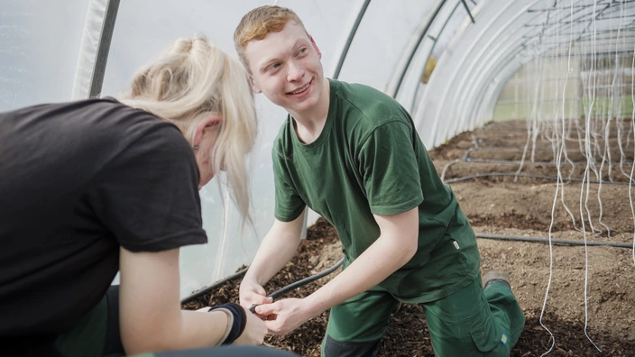 Zwei Auszubildende im Gewächshaus. Sie bauen ein Bewässerungssystem zusammen.