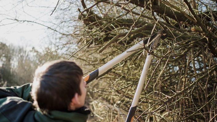 Unterstützte Beschäftigung (UB) im BZ des CJD Homburg