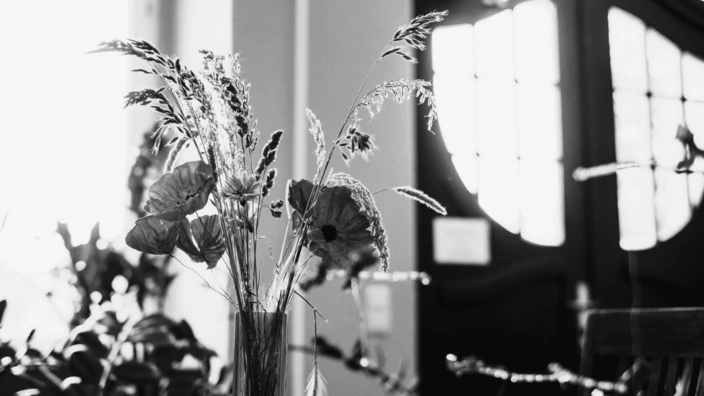 Schwarz-weiß Darstellung einer Pflanze