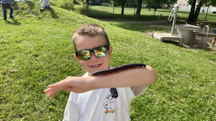 Ein Junge mit einem großen Tausendfüßer auf dem Arm