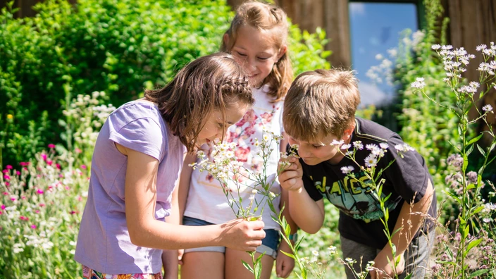 Drei Kinder riechen an einer Pflanze.