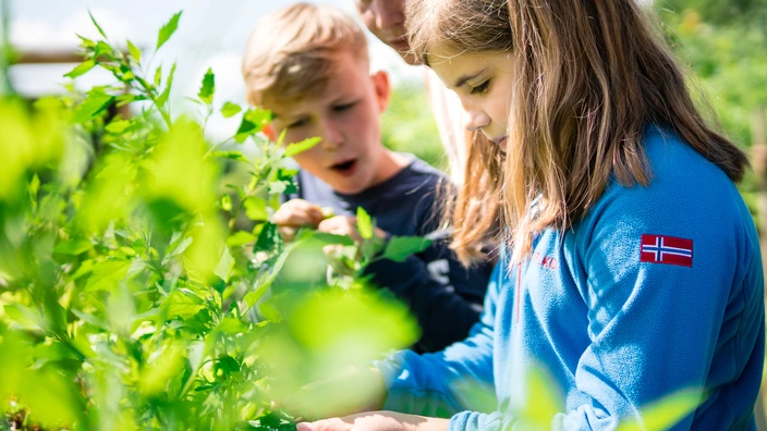 Ein Erwachsener und zwei Kinder neben einer Pflanze