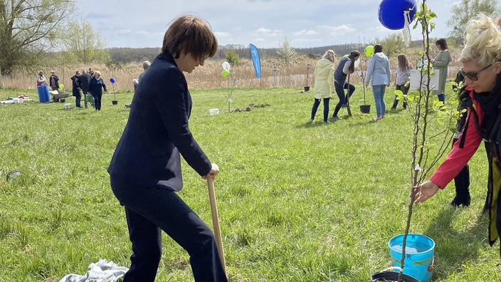 Eine Frau in dunklem Anzug gräbt mit einem Spaten ein Loch in einer Wiese, um einen jungen Baum zu pflanzen. Daneben steht eine weitere Person mit einem Setzling im Topf. Im Vordergrund liegt ein aufgeschnittener Sack mit Pflanzerde. Im Hintergrund sind mehrere Personen beim Pflanzen zu sehen, Luftballons und ein blauer Banner markieren die Aktion unter freiem Himmel.