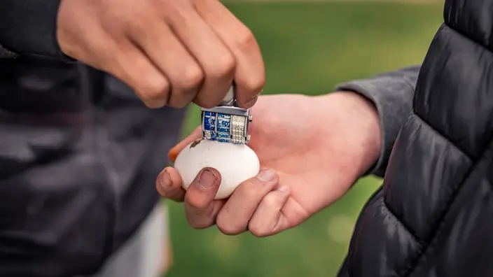 Eine Hand hält ein weißes Hühnerei fest während eine andere Hand einen Stempel darauf setzt. Spenden für das Hühnerprojekt im CJD Hohenleuben unterstützen Jugendliche darin Verantwortung zu übernehmen.