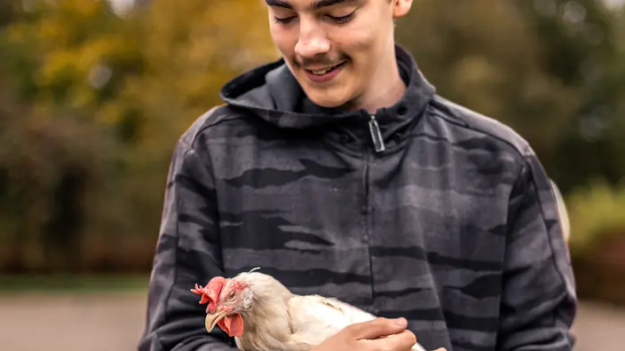 Ein Jugendlicher hält ein weißes Huhn auf dem Arm.