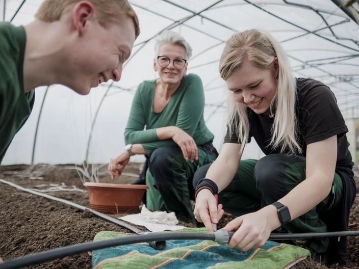 Zwei Jugendliche arbeiten zusammen mit einer CJD Mitarbeitenden in einem Gewächshaus an der Wasserversorgung.